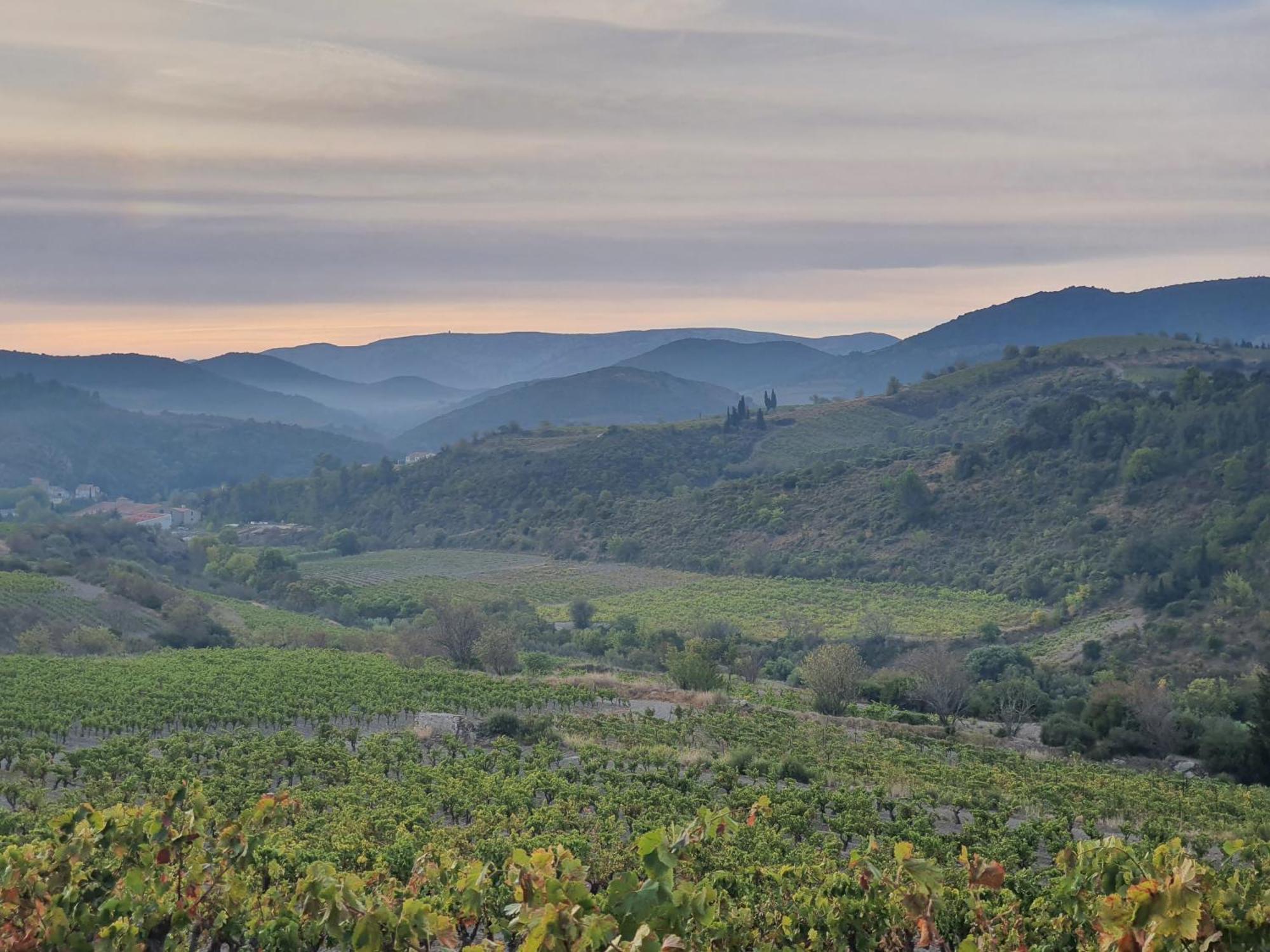 La Barbacane De Cascastel-des-Corbières Εξωτερικό φωτογραφία